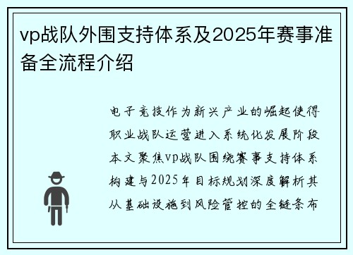 vp战队外围支持体系及2025年赛事准备全流程介绍